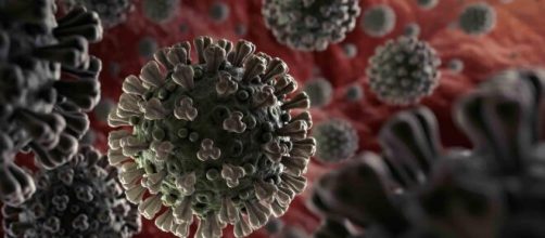 Coronavirus, in Messico 2.409 contagiati in 24 ore: preoccupa il Brasile
