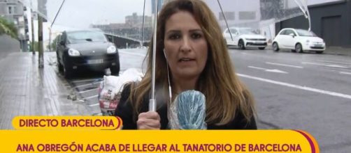 Sálvame /Bochornosa imagen de la periodista Laura Fa corriendo tras los padres de Aless Lequio