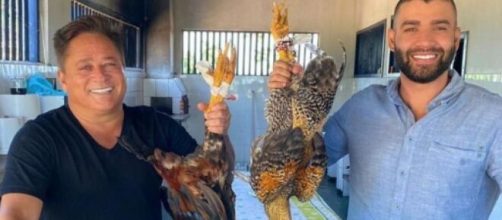 Gusttavo Lima comenta sobre as críticas que está recebendo por foto com galinhas. (Arquivo Blasting News)