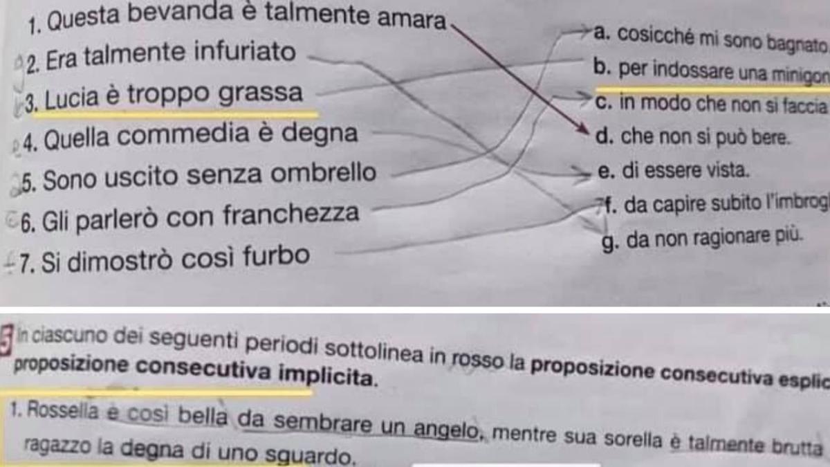 Scuola Un Libro Di Testo Contiene Frasi Discriminatorie Troppo Grassa Per La Minigonna