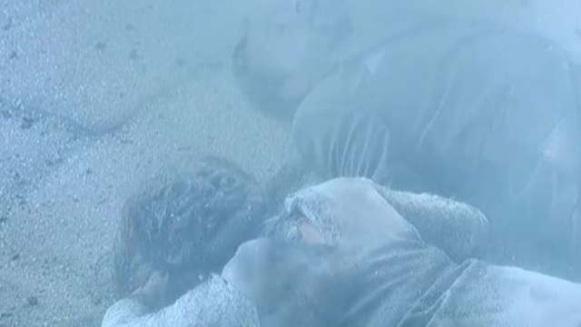 Il Segreto anticipazioni spagnole, Francisca e Raimundo esalano l'ultimo respiro