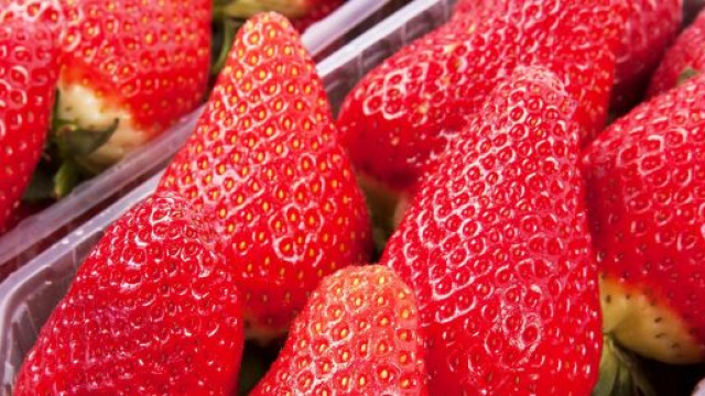 5 idee per portare le fragole a tavola: dai primi al dolce.