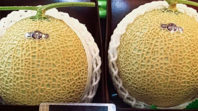 10 tra i cibi più costosi al mondo: il melone 'Yubari King' costa 20.000 euro al pezzo.