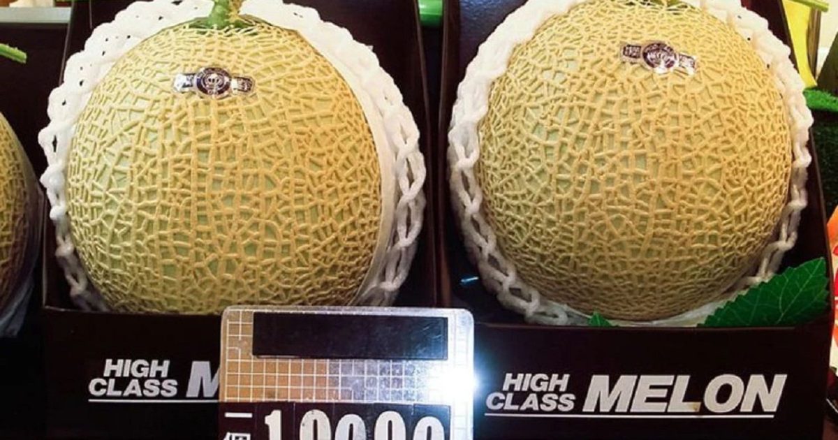 10 tra i cibi più costosi al mondo il melone 'Yubari King' costa 20.