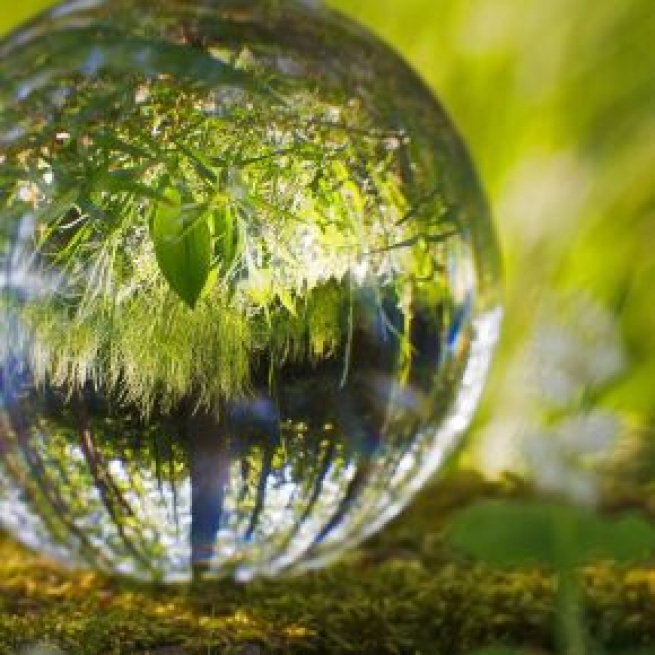 Empresas ¿un enemigo para el medio ambiente? – Casa de la Juventud - wordpress.com