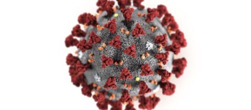 El coronavirus afecta a una parte significativa de la población mundial con diversos síntomas