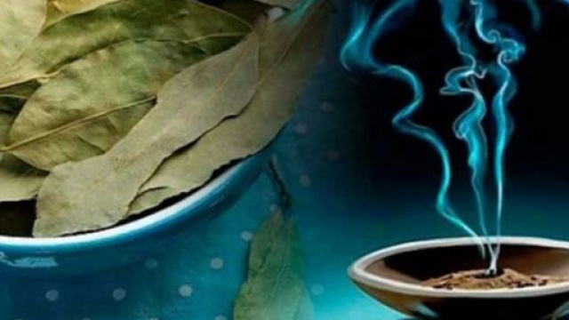 Les feuilles de Laurier auraient de nombreuses vertus sur la santé - Photo Pinterest