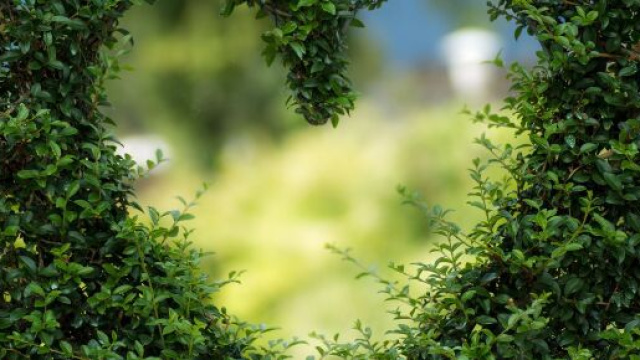 L'oroscopo dell'amore di coppia del 6 maggio.