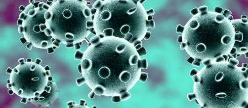 Coronavírus: Mundo tem 3,76 milhões de casos de infecção pelo novo coronavírus. (Arquivo Blasting News)