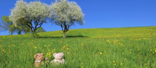 L'oroscopo del 9 maggio, previsioni primi sei segni: Ariete polemico, Toro paziente