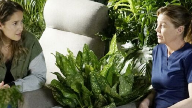 Nel finale della terza stagione di Station 19, Meredith Grey ed Andy Herrera si confronteranno.