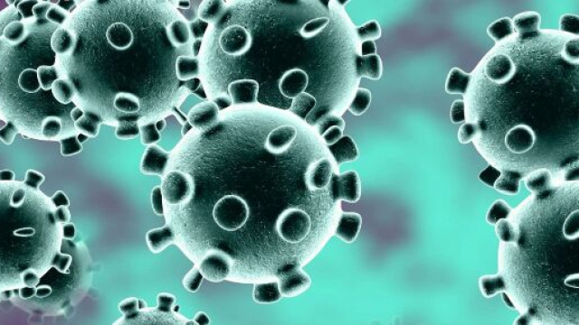 Bollettino coronavirus del 1 Giugno