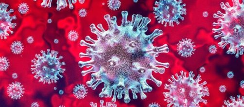 Coronavirus bollettino del 13 giugno