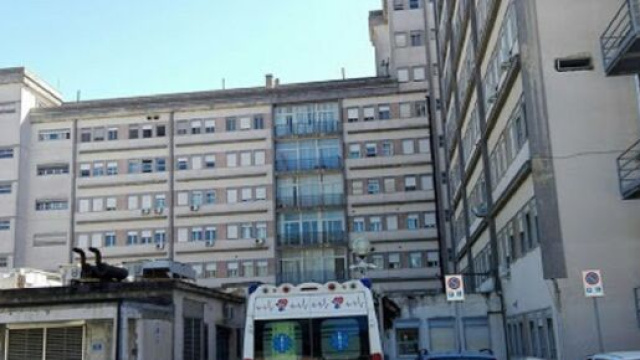 Cammarata, Agrigento: un giovane si è spento a 28 anni dopo la puntura di un'ape.