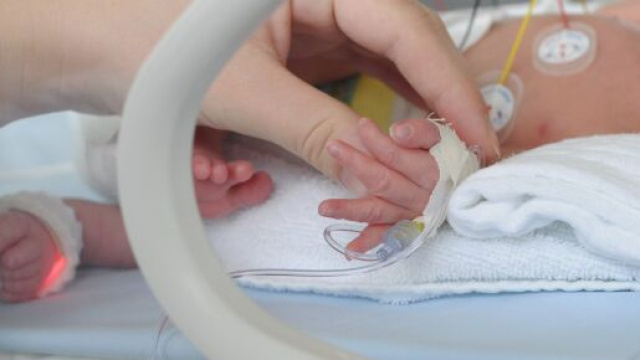 Presenza sospetta di batterio killer all'ospedale di Verona.