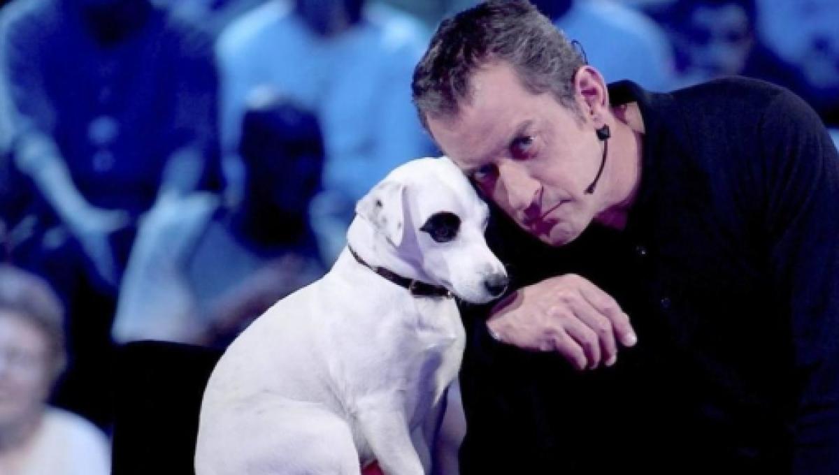 Christophe Dechavanne Annonce La Triste Perte De Son Chien Adeck Tu Vas Me Manquer