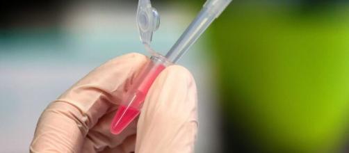 Oxford ya produce vacunas contra el coronavirus para venderlas en diciembre
