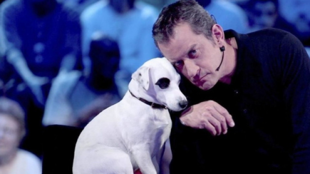 Christophe Dechavanne pleure la mort de son chien - Photo capture d'écran vidéo YouTube