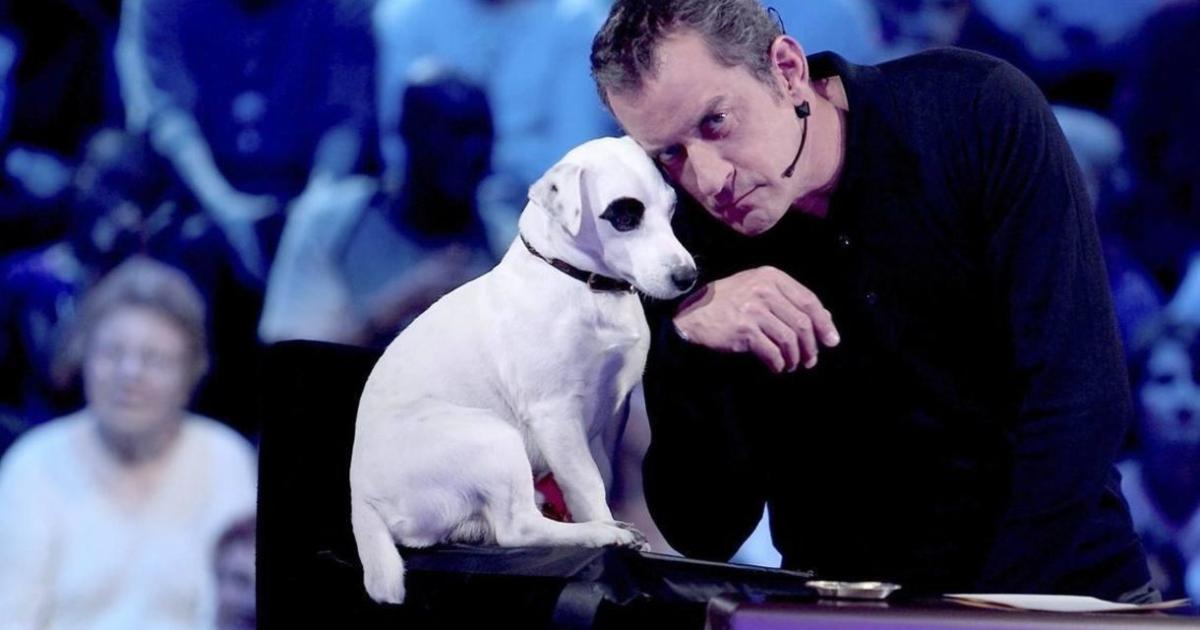 Christophe Dechavanne Annonce La Triste Perte De Son Chien Adeck Tu Vas Me Manquer