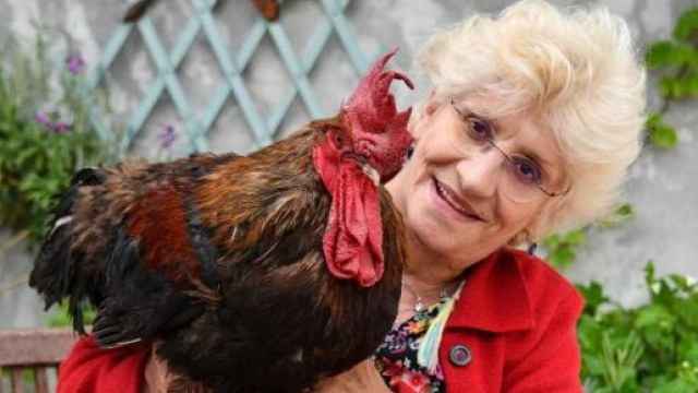 Corinne Fesseau, la propriétaire du célèbre coq chanteur Maurice (source : capture Twitter)