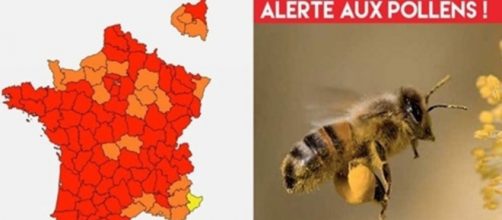 La France fortement touchée par le pollen en ce moment - Montage photo