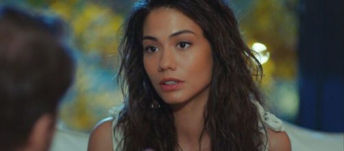 Erkenci Kuş, spoiler 23 giugno: la sorella di Leyla cerca di mettere nei guai l'agenzia.