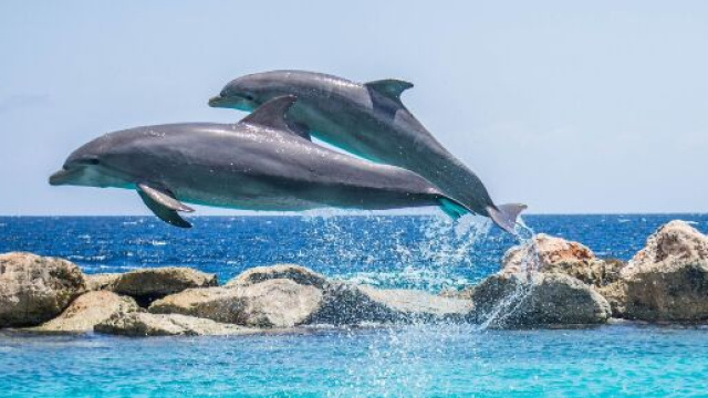 L'oroscopo e le previsioni astrali del 27 giugno: giornata dolce per Cancro.