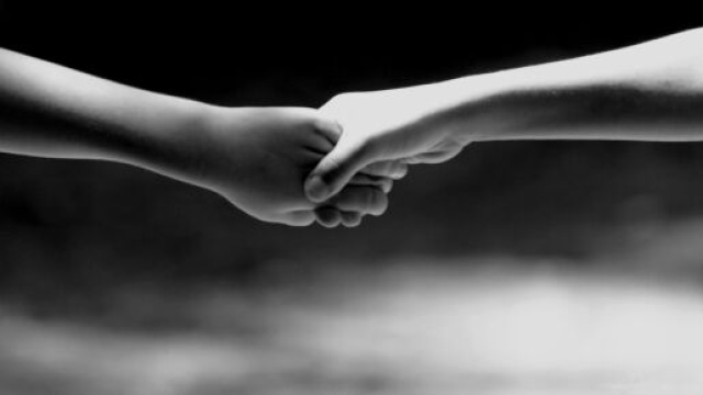 image d'illustration (source : Pixabay)