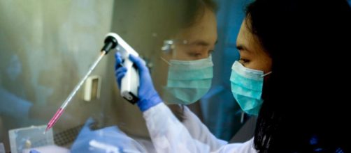 Cina, scoperto un nuovo virus simile a quello della 'suina'.