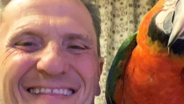 Enzo Salvi aggredito ad Ostia per aver difeso il suo pappagallo.