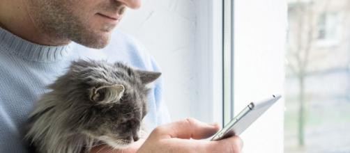 illicoVeto, la plateforme de conseils de vétérinaires. Credit: Shutterstock