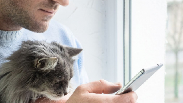 illicoVeto, la plateforme de conseils de vétérinaires. Credit: Shutterstock