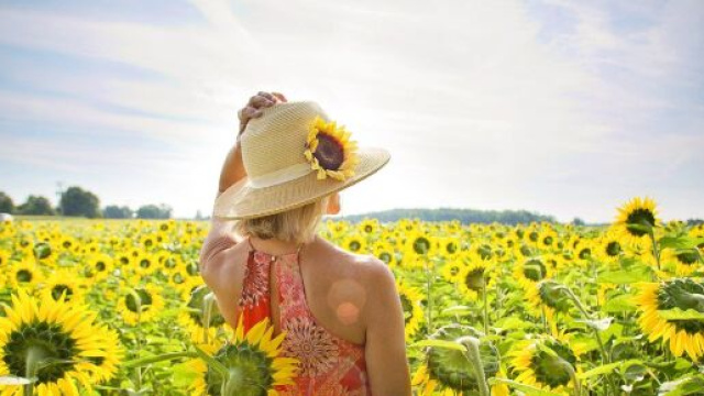 L'oroscopo del 2 luglio e le previsioni delle stelle: chiarezza per Toro, Gemelli vivaci