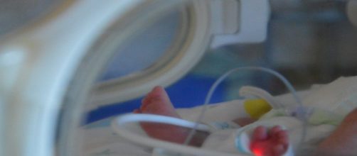 Treviso, neonato di 42 giorni perde la vita a causa di una rara forma di meningite.