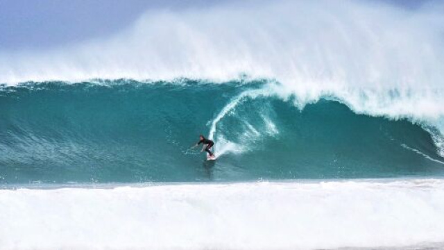 Australia, ragazzo di 17 anni muore dopo l'attacco di uno squalo vicino Brisbane. (foto repertorio)