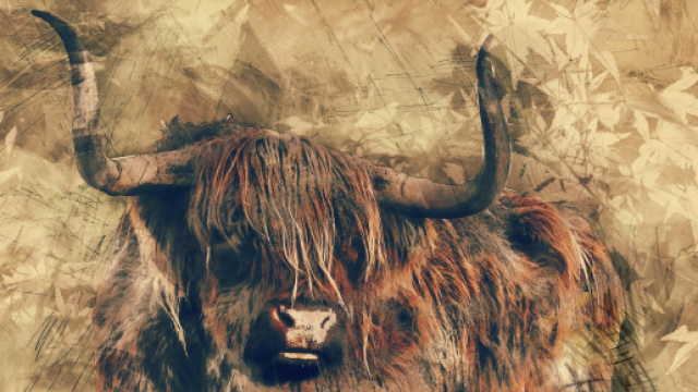 Previsioni zodiacali e classifica di marted&igrave; 14 luglio: Toro poliedrico, Leone diffidente.