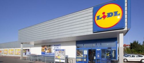 Lidl apre le assunzioni e ricerca giovani con diploma.