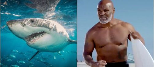 For some reason, Mike Tyson is going head-to-head with 'Jaws' in a ... - com.au