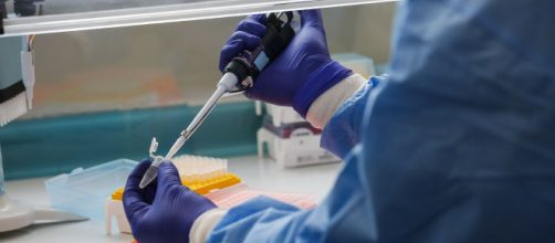 Remédios, vacinas e testes para covid-19: cientistas franceses indica caminho para tratamento de covid-19. (Arquivo Blasting News)