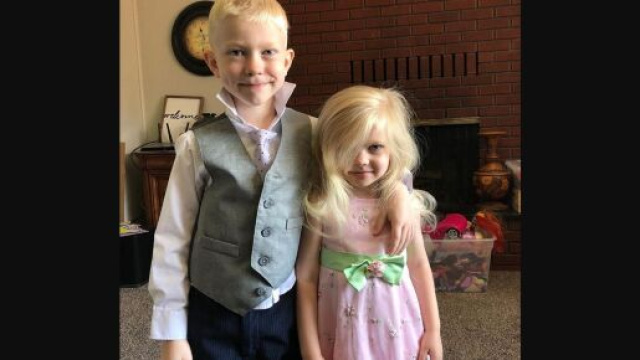 Bambino eroe salva la sorellina dall'attacco di un cane.