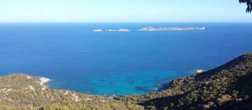 Selezione per biologi in Sardegna.