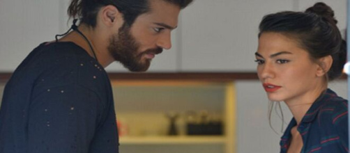 DayDreamer, trama 29 luglio: Aydin e il fratello di Emre lavorano per un nuovo progetto.
