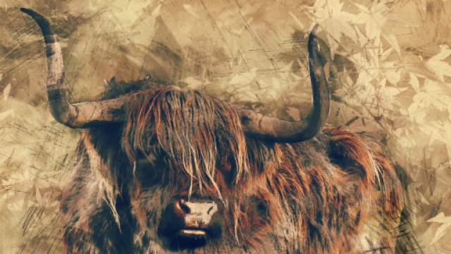 Oroscopo e classifica di giovedì 23 luglio: Pesci perplessi, lavoro top per il Toro.