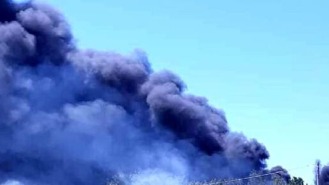 Lecce, incendio in un vivaio a Squinzano: distrutti vegetazione e materiale plastico.