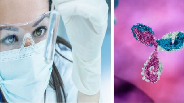 Nel contrasto al Covid-19, oltre al vaccino una speranza arriva dagli anticorpi. Molti centri sono impegnati in questa ricerca, anche in Italia.