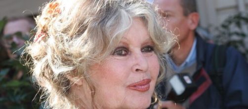 Brigitte Bardot s'est attaquée à la fête religieuse de l'Aïd-el Kébir sur son compte Twitter - capture Twitter