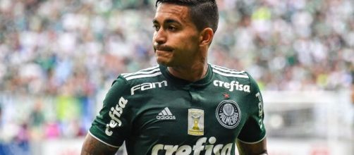 Dudu deixa o Palmeiras, mas enche o bolso alviverde. (Arquivo Blasting News)