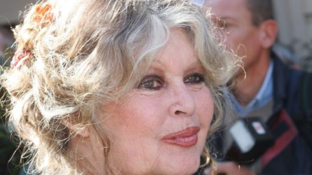 Brigitte Bardot s'est attaqu&eacute;e &agrave; la f&ecirc;te religieuse de l'A&iuml;d-el K&eacute;bir sur son compte Twitter - capture Twitter