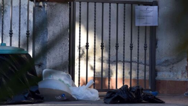 Stati Uniti, bimba di un anno sbranata a morte dal pitbull dei nonni.