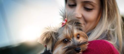 Os animais de estimação podem mudar a vida das pessoas para melhor. (Arquivo Blasting News)
